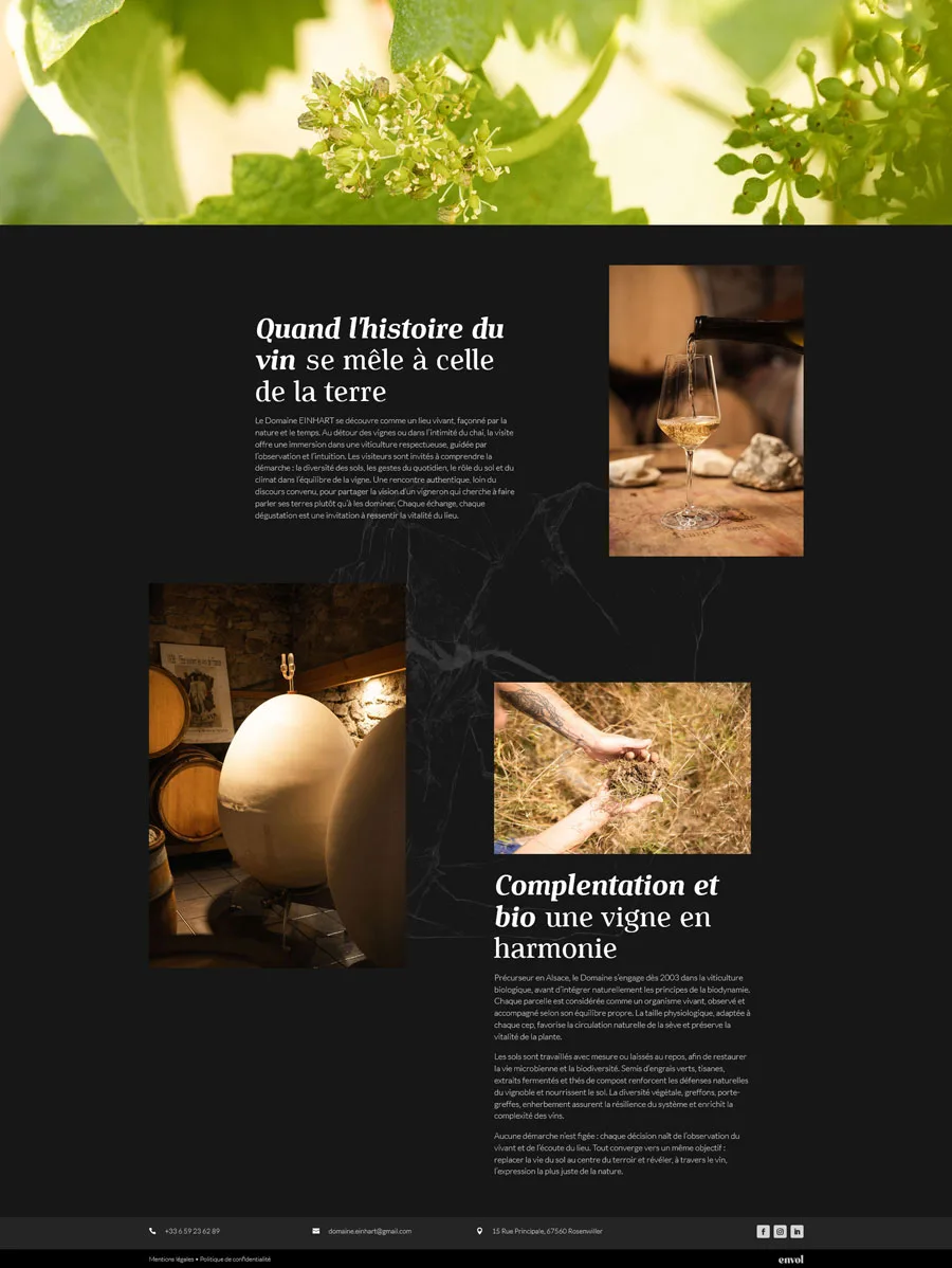 Einhart - Homepage 2
